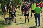 Harztorlauf 2021 (Foto: agl)