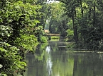 Im W&ouml;rlitzer Park (Foto: P.Blei)