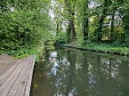 Im W&ouml;rlitzer Park (Foto: P.Blei)