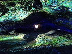 World of Lights in der Barbarossah&ouml;hle (Foto: Peter Blei)