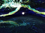 World of Lights in der Barbarossah&ouml;hle (Foto: Peter Blei)