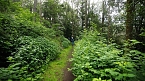 MDR Wanderung rund um Neustadt (Foto: Tourist-Information Neustadt)