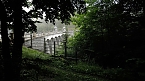 MDR Wanderung rund um Neustadt (Foto: Tourist-Information Neustadt)