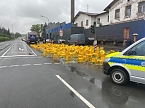 Fl&uuml;ssigkeitsverlust von Wipperdorf (Foto: S.Dietzel)