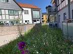 Die SWG wurde f&uuml;r die Sanierung Am Alten Tor mit dem Denkmalschutzpreis ausgezeichnet (Foto: Stadtverwaltung Nordhausen)