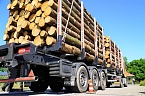 Gro&szlig;einsatz in Neustadt - die Polizei kontrollierte sieben Stunden lang Holztransporte (Foto: Landespolizeiinspektion Nordhausen)
