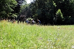 Bild: Erste Wanderung auf dem Urwaldpfad bei R&uuml;digsdorf (Foto: S.Staubitz)