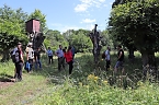 Bild: Erste Wanderung auf dem Urwaldpfad bei R&uuml;digsdorf (Foto: S.Staubitz)