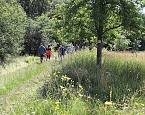 Bild: Erste Wanderung auf dem Urwaldpfad bei R&uuml;digsdorf (Foto: S.Staubitz)