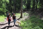 Bild: Erste Wanderung auf dem Urwaldpfad bei R&uuml;digsdorf (Foto: S.Staubitz)