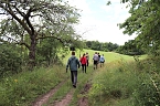 Bild: Erste Wanderung auf dem Urwaldpfad bei R&uuml;digsdorf (Foto: S.Staubitz)