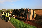 Umgest&uuml;rzte Kran bei Uthleben (Foto: S.Dietzel)