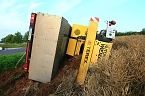 Umgest&uuml;rzte Kran bei Uthleben (Foto: S.Dietzel)