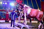 Bild: Zirkus Atlantik in Sundhausen (Foto: City-Scout Sven G&auml;mkow)