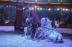 Bild: Zirkus Atlantik in Sundhausen (Foto: City-Scout Sven G&auml;mkow)