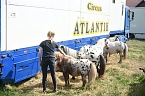 Bild: Zirkus Atlantik in Sundhausen (Foto: City-Scout Sven G&auml;mkow)