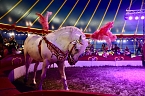 Bild: Zirkus Atlantik in Sundhausen (Foto: City-Scout Sven G&auml;mkow)