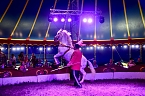 Bild: Zirkus Atlantik in Sundhausen (Foto: City-Scout Sven G&auml;mkow)