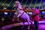 Bild: Zirkus Atlantik in Sundhausen (Foto: City-Scout Sven G&auml;mkow)