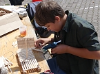 Bild: Kirchenentdeckertag in der Blasii-Kirche (Foto: Evangelischer Kirchenkreis S&uuml;dharz)