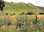 Bild: Die alte W&uuml;stung am Schlossberg (Foto: Peter Blei)