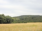 Bild: Die alte W&uuml;stung am Schlossberg (Foto: Peter Blei)