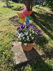 Bild: Freude an Blumen entwickeln die kleinen G&auml;rtner (Foto: Sylvia Kirhacz)
