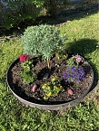 Bild: Freude an Blumen entwickeln die kleinen G&auml;rtner (Foto: Sylvia Kirhacz)