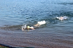 18. Scheunenhof Triathlon  (Foto: emw)