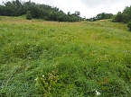 Bild: Spaziergang am Stausee (Foto: Familie Friedling)