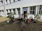 Eine "verrückte Woche" haben die Schülerinnen und Schüler an der Petersbergschule hinter sich (Foto: Annika Lauer) Bild: Eine "verrückte Woche" haben die Schülerinnen und Schüler an der Petersbergschule hinter sich (Foto: Annika Lauer)
