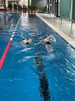 Benefizschwimmen im Badehaus (Foto: Katrin Berndt)