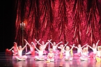 Tanzstudio Radeva im Nordh&auml;user Theater (Foto: D.Radev)