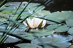 Die Wunder der Natur eingefangen von der Kamera (Foto: P.Blei)
