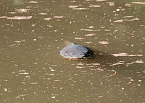 Die Wunder der Natur eingefangen von der Kamera (Foto: P.Blei)