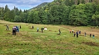 Pflegeeinsatz auf der Wiese (Foto: Landschaftspflegeverband Südharz/Kyffhäuser) Pflegeeinsatz auf der Wiese (Foto: Landschaftspflegeverband Südharz/Kyffhäuser)