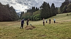 Pflegeeinsatz auf der Wiese (Foto: Landschaftspflegeverband Südharz/Kyffhäuser) Pflegeeinsatz auf der Wiese (Foto: Landschaftspflegeverband Südharz/Kyffhäuser)