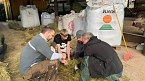 Kirmes wird vorbereitet (Foto: privat)