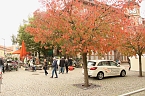Kürbismarkt in Nordhausen (Foto: agl) Kürbismarkt in Nordhausen (Foto: agl)