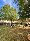 Lichertest in Urbach (Foto: K.Seifert)