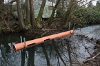 Biberbau-Drainage in der Salza (Foto: agl)