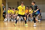 Handball-Ergebnisdienst (Foto: NSV) Handball-Ergebnisdienst (Foto: NSV)