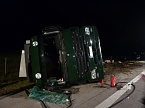 Tierischer Unfall (Foto: BFW Nordhausen)