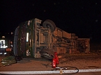 Tierischer Unfall (Foto: BFW Nordhausen)