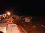 Tierischer Unfall (Foto: BFW Nordhausen)