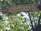 Am&uuml;santes (Foto: Hans-J&uuml;rgen Schmidt)