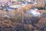 Fl&auml;chenbrand oberhalb von Niedersachswerfen (Foto: vgf)