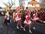 Stra&szlig;enkarneval in Bleicherode (Foto: nnz)