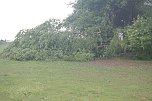 Sturm verursacht Sch&auml;den (Foto: H. Michel)