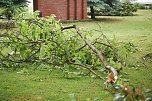 Sturm verursacht Sch&auml;den (Foto: H. Michel)